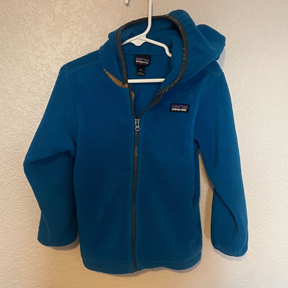 Patagonia Vibrant Blue Hooded Fleece